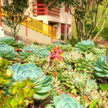 ホテル Sitio Dos Palmitos - Casa Pupunha ペドラ・アズール エクステリア 写真